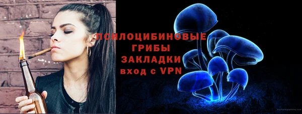 марки nbome Вяземский