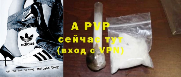 хмурый Гусев