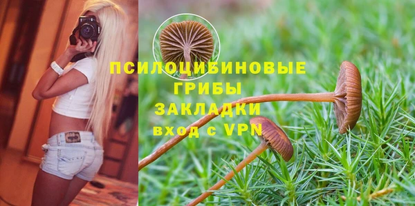 марки nbome Вяземский