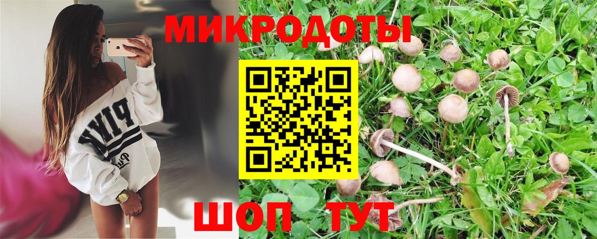 Вятские Поляны  купить   Вход с VPN  Псилоцибиновые грибы Cubensis 