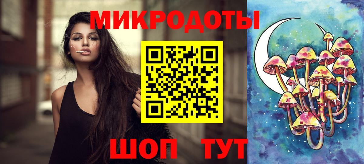 наркота  Вятские Поляны  Псилоцибиновые грибы Psilocybine cubensis  Галлюциногенные грибы Psilocybe 