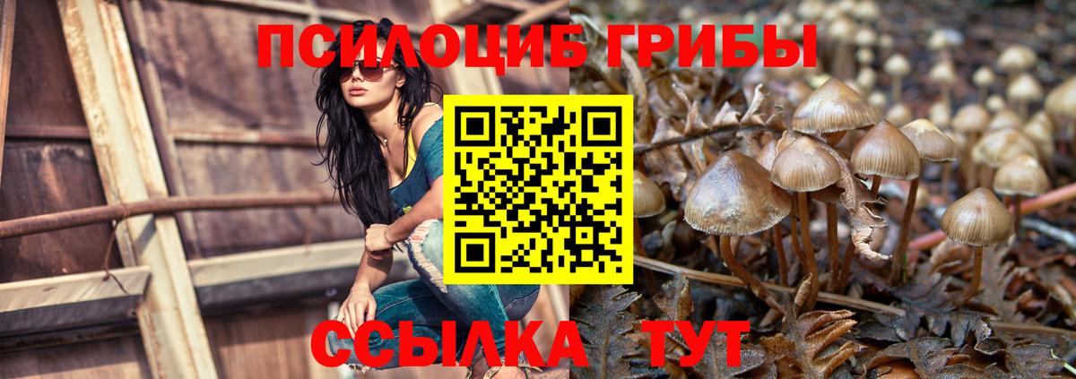 Галлюциногенные грибы ЛСД Вятские Поляны